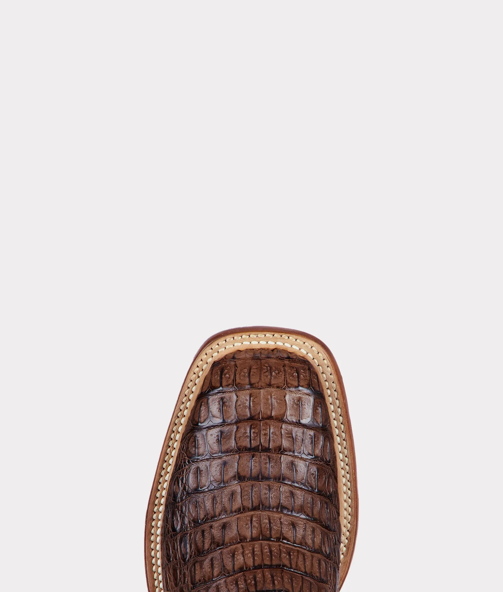 Fisher :: Tan   Chocolate