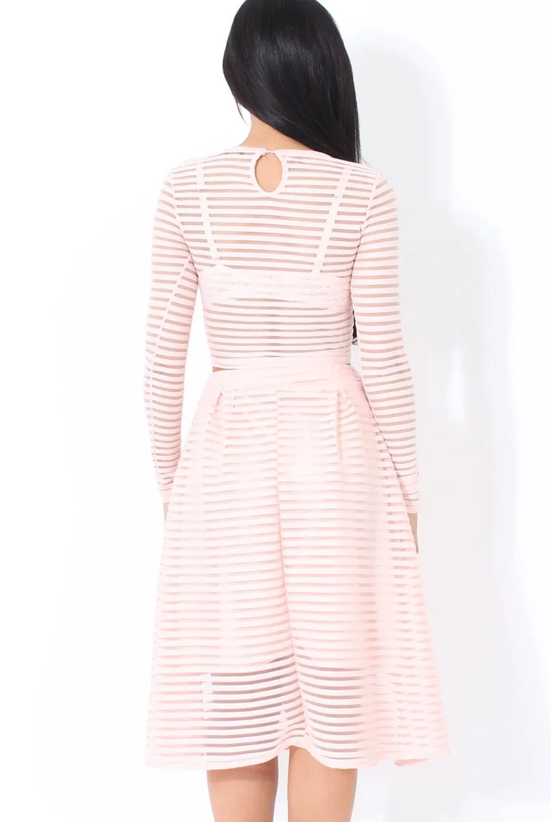 Rose Semi Sheer Stripe Crop Top - Alix