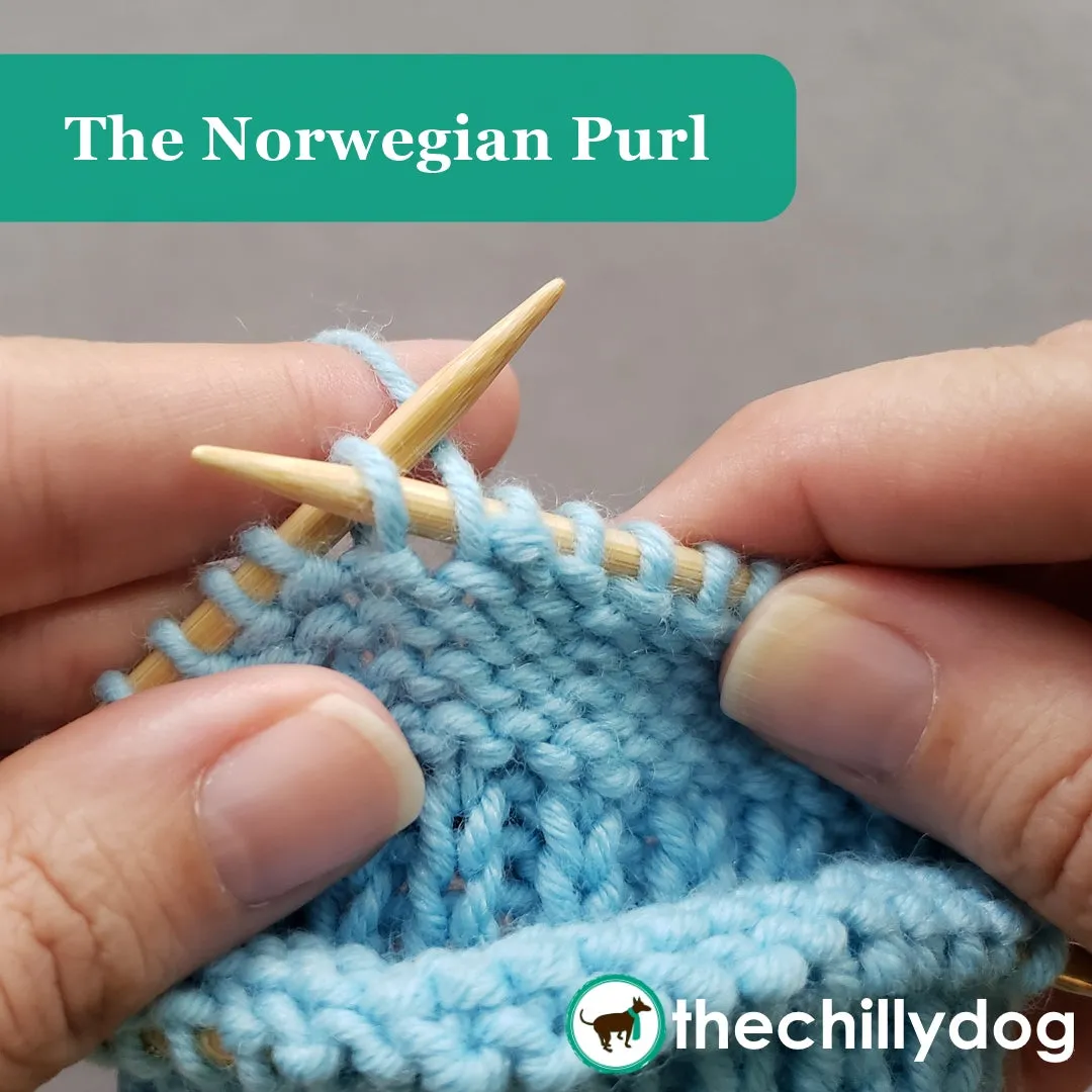 Toe-rific Fingering Socks: Knitting Pattern PDF